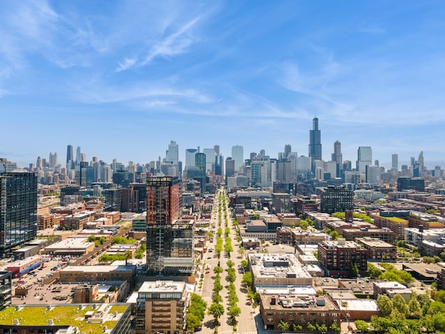 165 N May St, Chicago, IL 60607 - photo 33