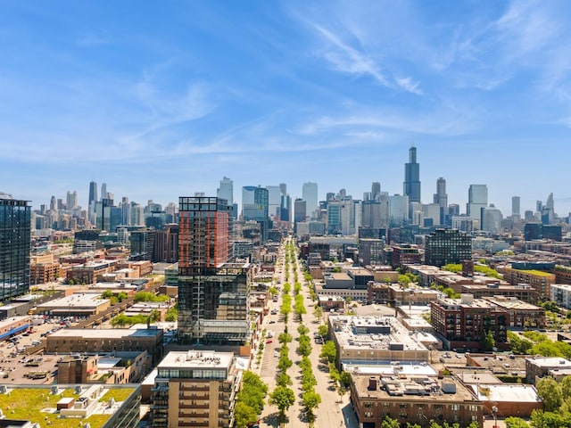 165 N May St, Chicago, IL 60607 - photo 34
