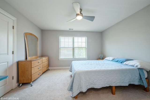 1009 N Auburn Ridge Dr, Palatine, IL 60067 - photo 17