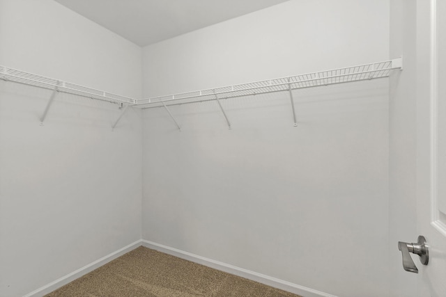 3006 Renard Ln Unit 3006, Saint Charles, IL 60175 - photo 13