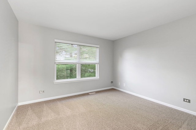 3006 Renard Ln Unit 3006, Saint Charles, IL 60175 - photo 15