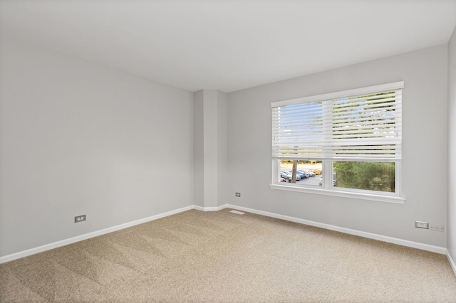 3006 Renard Ln Unit 3006, Saint Charles, IL 60175 - photo 17