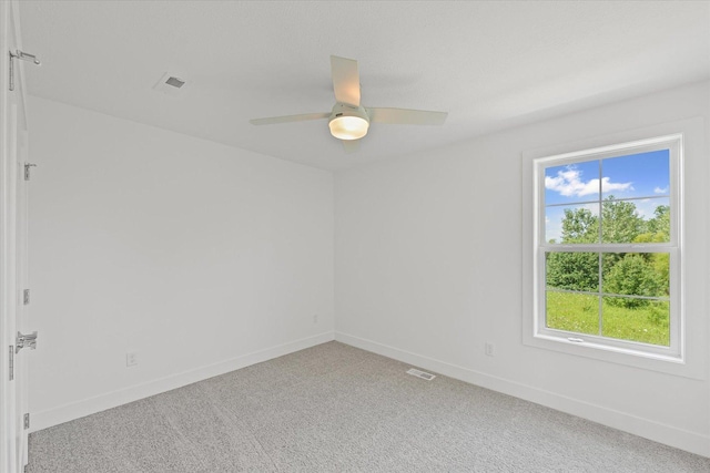 403 Harpers Fry, Savoy, IL 61874 - photo 24