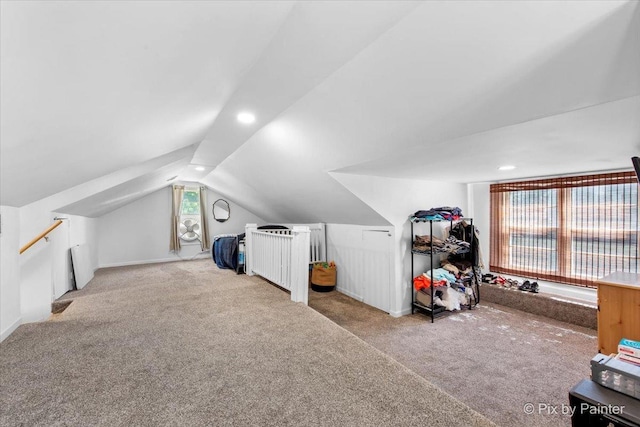 1304 River Terrace Dr, Johnsburg, IL 60051 - photo 18