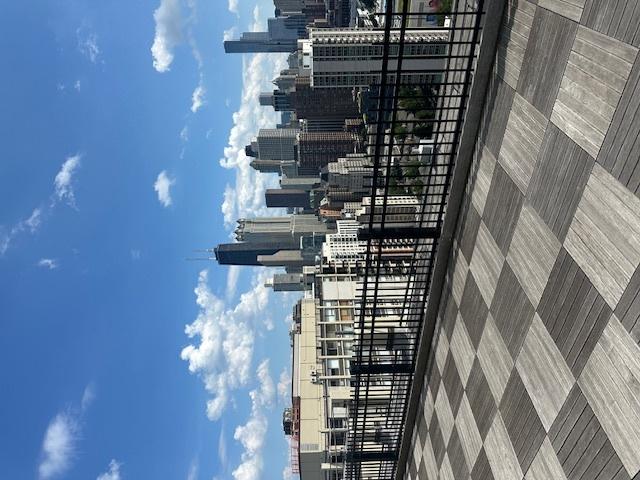 1360 N Sandburg Ter Unit 2605C, Chicago, IL 60610 - photo 32