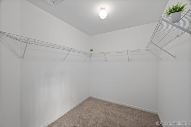 3310 Rosecroft Ln, Naperville, IL 60564 - photo 25