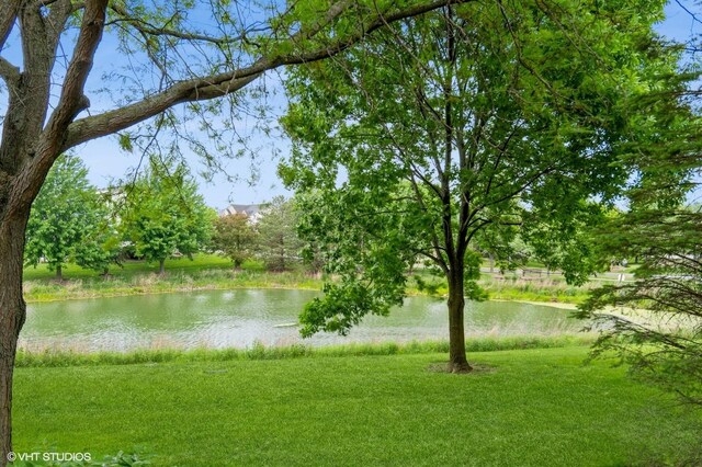 2958 Scott Ct, Lisle, IL 60532 - photo 4
