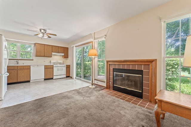 1228 Coldspring Rd, Elgin, IL 60120 - photo 12