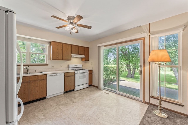 1228 Coldspring Rd, Elgin, IL 60120 - photo 13