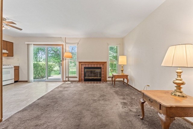 1228 Coldspring Rd, Elgin, IL 60120 - photo 15