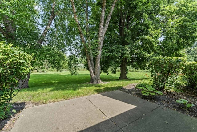 1228 Coldspring Rd, Elgin, IL 60120 - photo 27