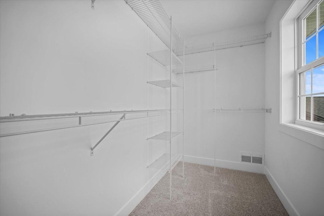 2802 Steppe Ln, Bloomington, IL 61705 - photo 22