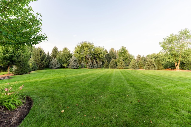 39W162 Long Meadow Ln, Saint Charles, IL 60175 - photo 61