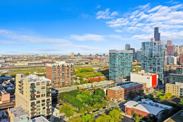1516 S Wabash Ave Unit 306, Chicago, IL 60605 - photo 29