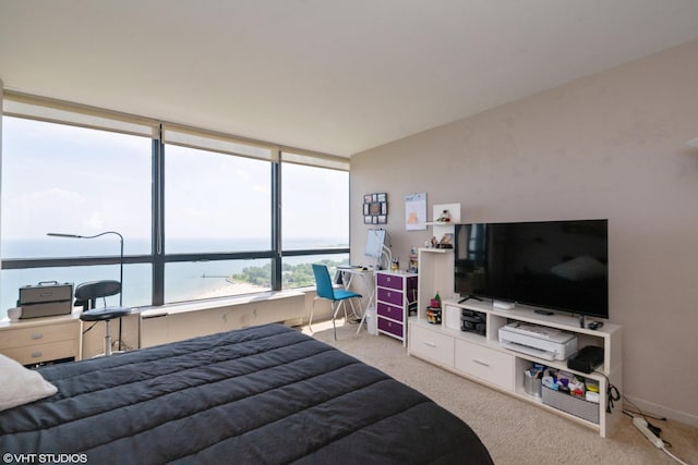 5415 N Sheridan Rd Unit 3405, Chicago, IL 60640 - photo 14