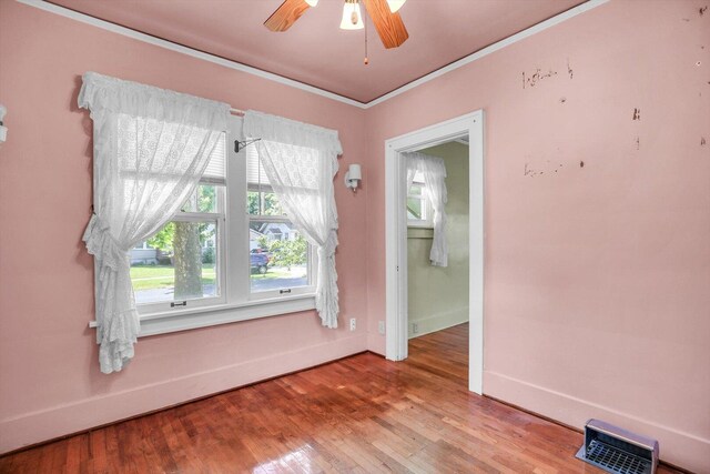 206 N Victor St, Champaign, IL 61821 - photo 11