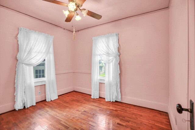 206 N Victor St, Champaign, IL 61821 - photo 12