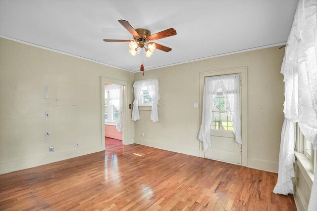 206 N Victor St, Champaign, IL 61821 - photo 5