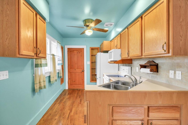 206 N Victor St, Champaign, IL 61821 - photo 7