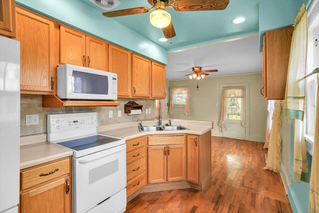 206 N Victor St, Champaign, IL 61821 - photo 8
