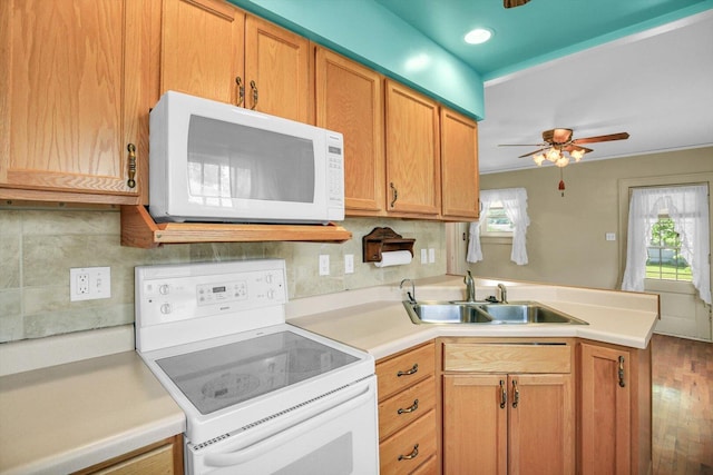 206 N Victor St, Champaign, IL 61821 - photo 9