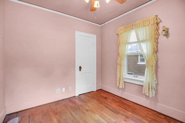 206 N Victor St, Champaign, IL 61821 - photo 10