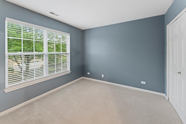 1423 W Remington Ln, Round Lake, IL 60073 - photo 14