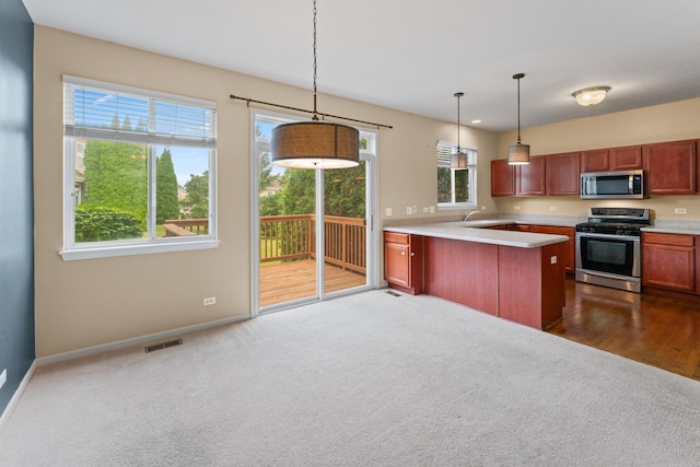1423 W Remington Ln, Round Lake, IL 60073 - photo 6
