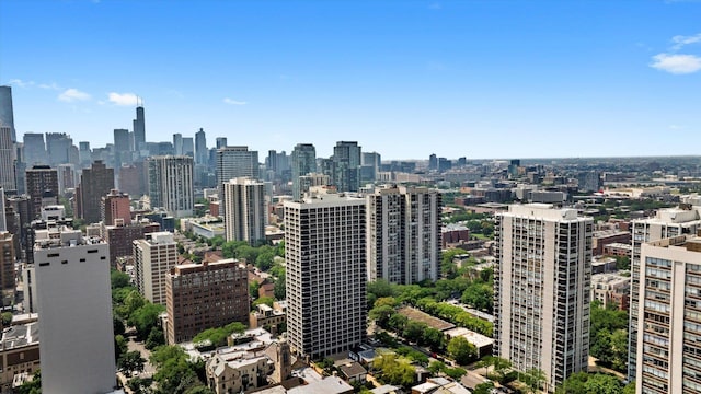 88 W Schiller St Unit 1405, Chicago, IL 60610 - photo 16