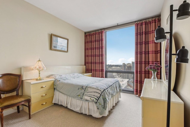 1235 S Prairie Ave Unit 2805, Chicago, IL 60605 - photo 12