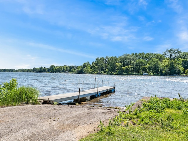 5N092 Grove Ave, Saint Charles, IL 60174 - photo 14