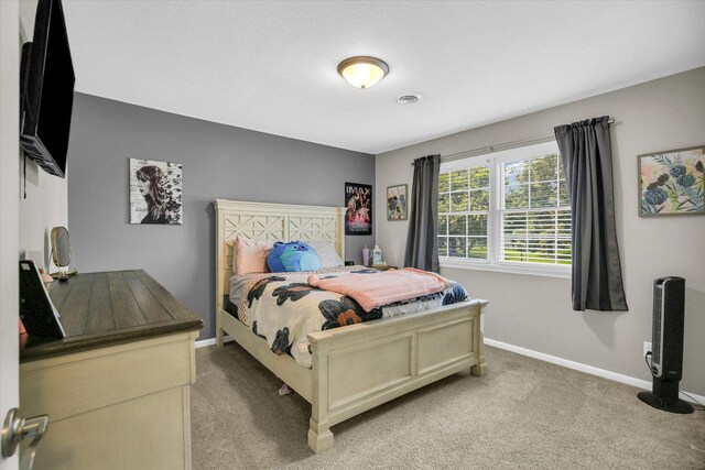 1104 Parkside Dr, Tuscola, IL 61953 - photo 33