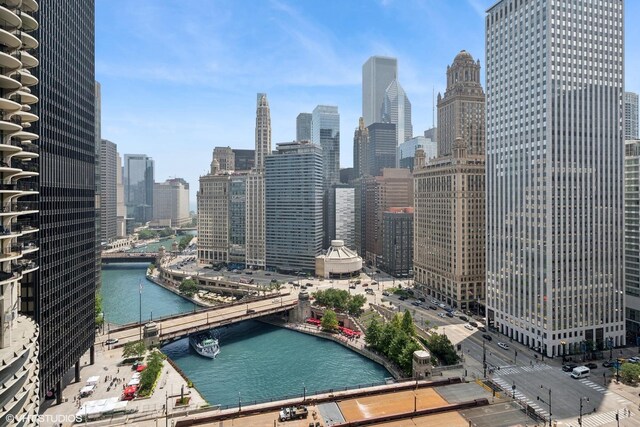 300 N State St Unit 2410, Chicago, IL 60654 - photo 11