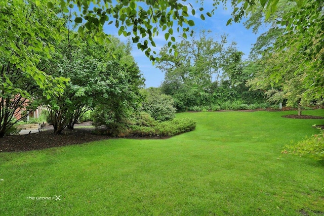 1602 Hunters Glen Dr, Wheaton, IL 60189 - photo 59