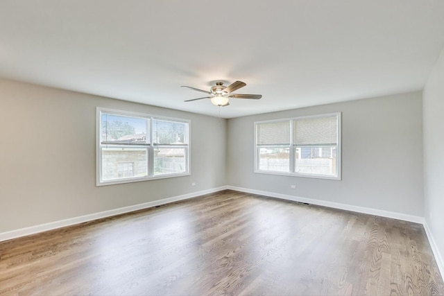 3909 N New England Ave, Chicago, IL 60634 - photo 10