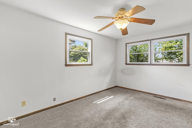 37 Dennison Dr, Bourbonnais, IL 60914 - photo 26