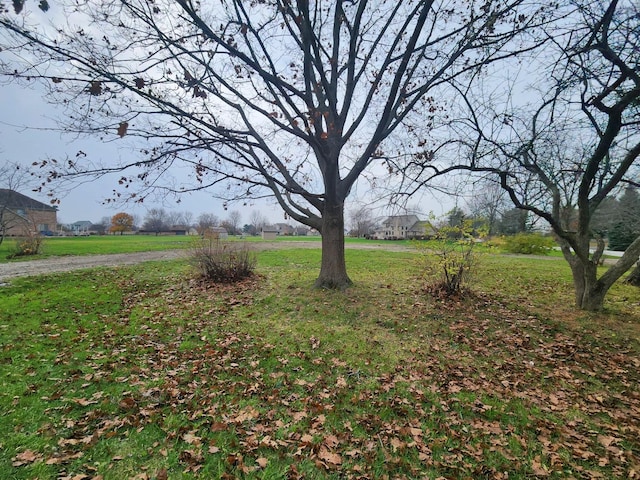 26114 S Victoria Ln, Crete, IL 60417 - photo 2