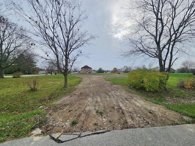 26114 S Victoria Ln, Crete, IL 60417 - photo 3