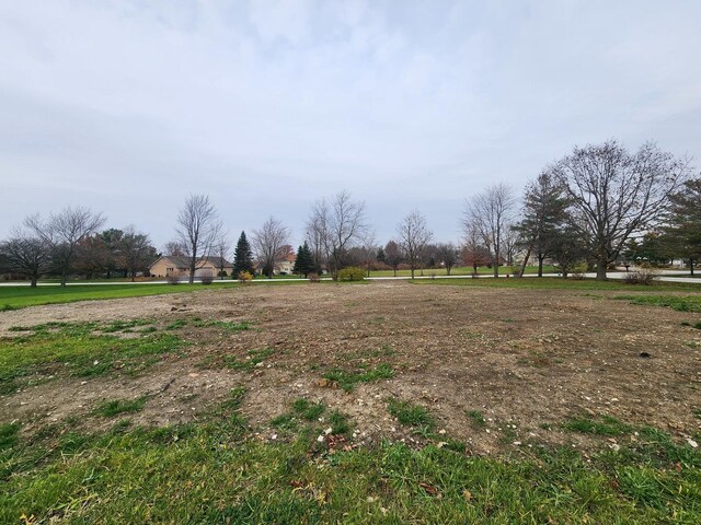 26114 S Victoria Ln, Crete, IL 60417 - photo 4