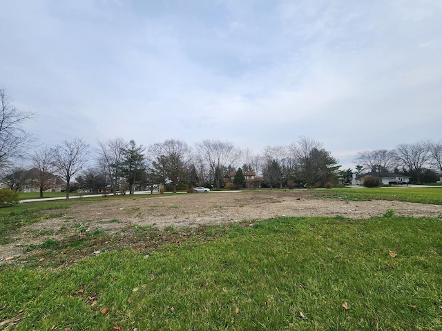 26114 S Victoria Ln, Crete, IL 60417 - photo 6