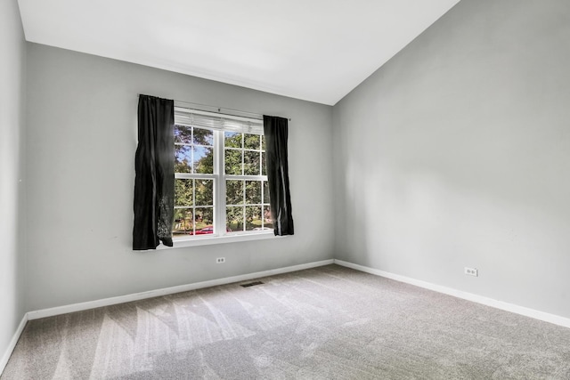 699 Snow Cap Ct, Gurnee, IL 60031 - photo 35