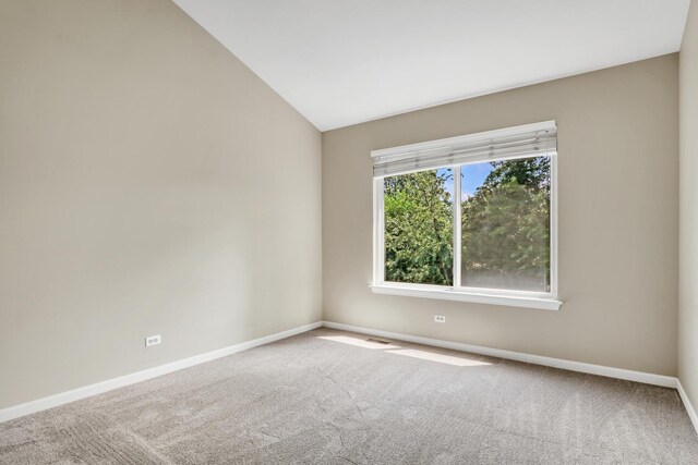 699 Snow Cap Ct, Gurnee, IL 60031 - photo 36