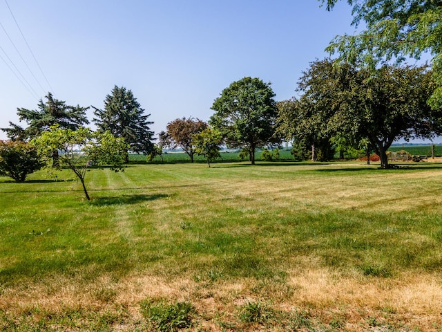 9829 N 2700 E Rd, Forrest, IL 61741 - photo 10