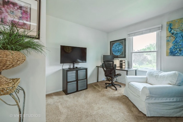 1330 N Parkview Ter, Algonquin, IL 60102 - photo 14
