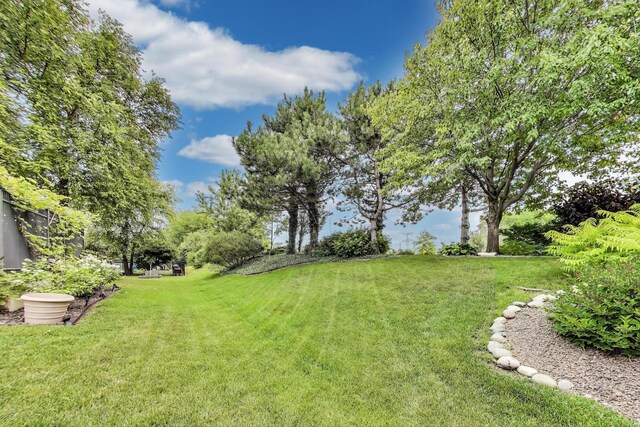 21973 Rosemary Rd, Frankfort, IL 60423 - photo 45