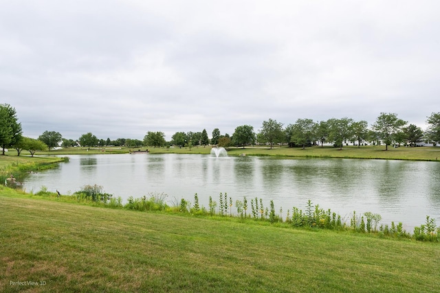 21419 Mays Lake Dr, Crest Hill, IL 60403 - photo 23