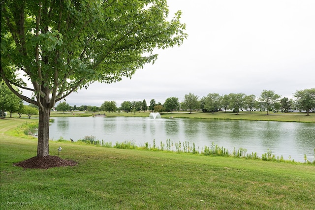 21419 Mays Lake Dr, Crest Hill, IL 60403 - photo 24