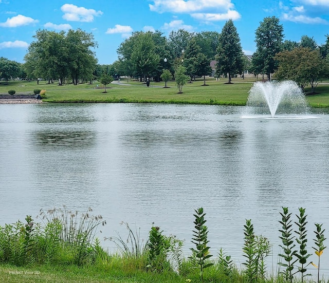 21419 Mays Lake Dr, Crest Hill, IL 60403 - photo 27