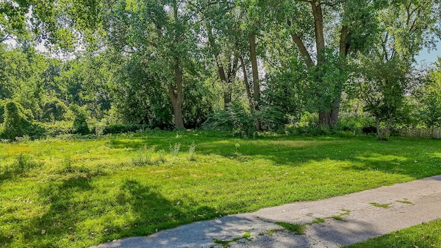 2910 E 138th Pl, Burnham, IL 60633 - photo 5