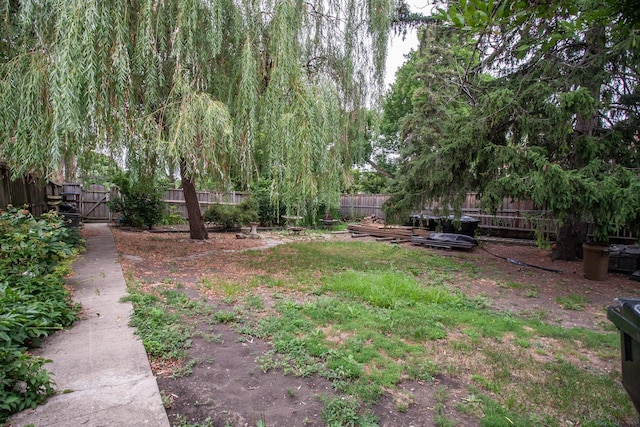 5441 N Linder Ave, Chicago, IL 60630 - photo 10